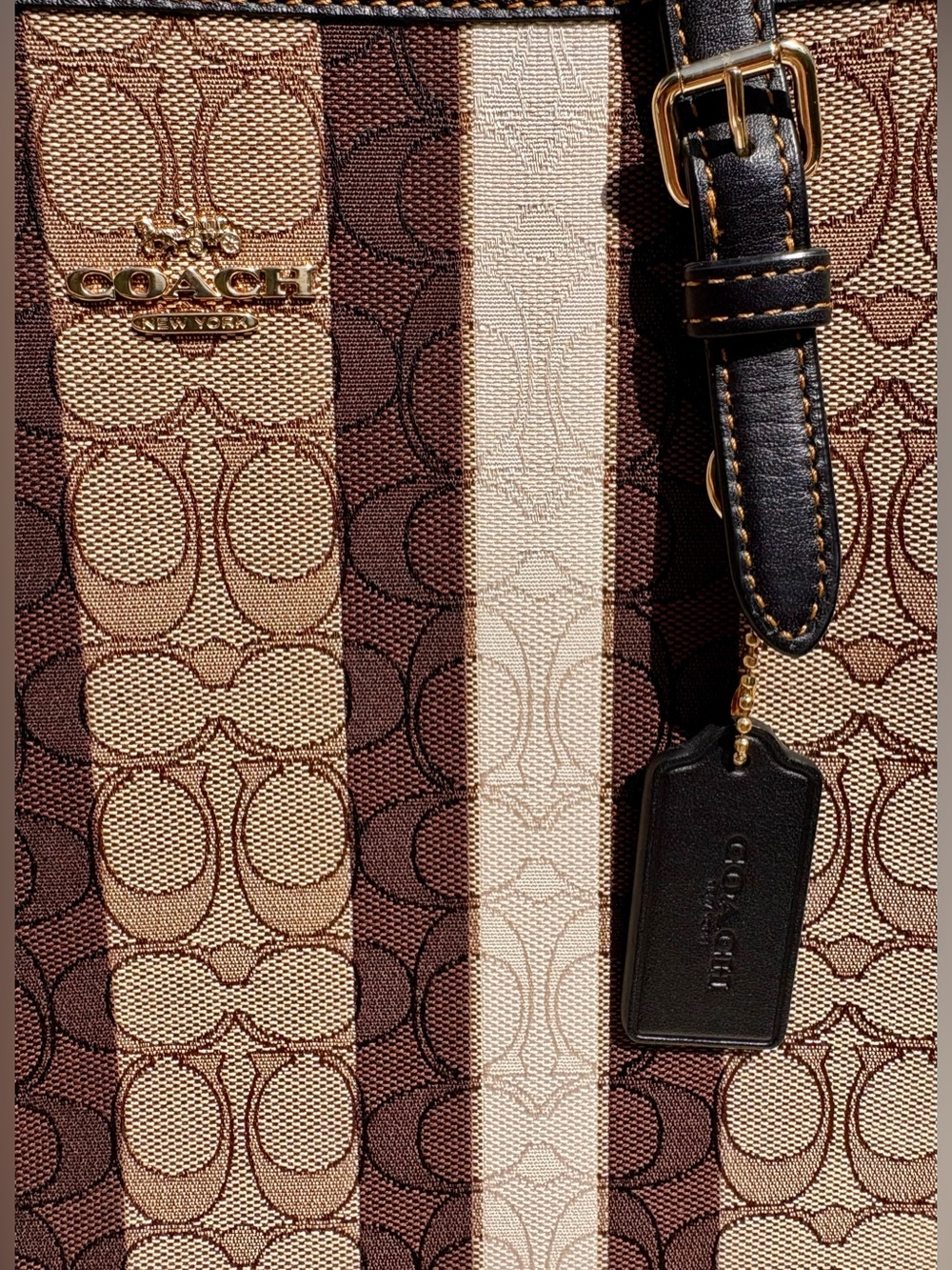 COACH Large Mollie Tote Bag
In Signature Jacquard With Stripes C4008 - Picture 2 of 14